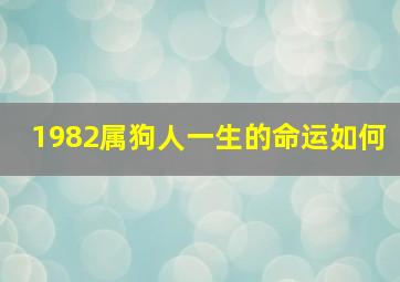 1982属狗人一生的命运如何