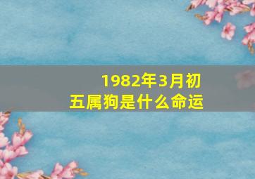 1982年3月初五属狗是什么命运