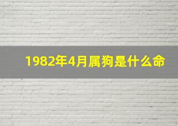 1982年4月属狗是什么命