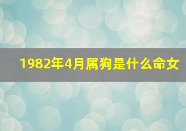 1982年4月属狗是什么命女