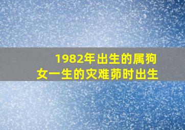 1982年出生的属狗女一生的灾难茆时出生