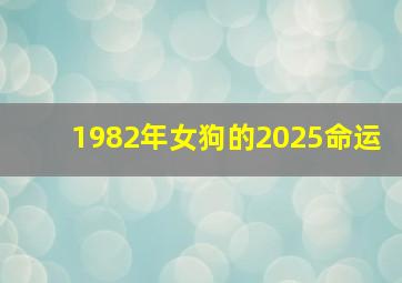 1982年女狗的2025命运