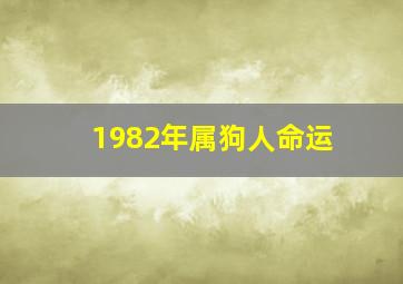 1982年属狗人命运