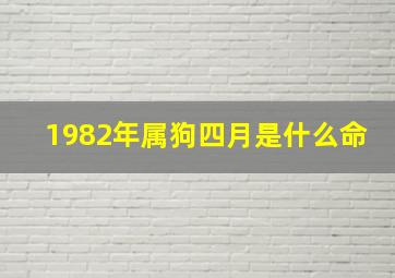 1982年属狗四月是什么命