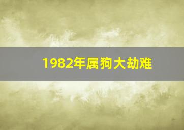 1982年属狗大劫难