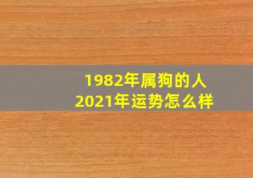 1982年属狗的人2021年运势怎么样