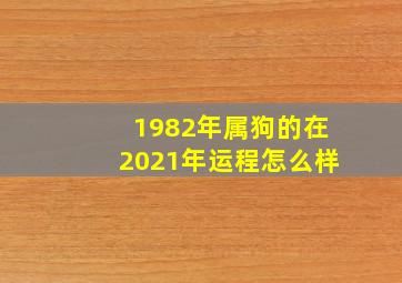 1982年属狗的在2021年运程怎么样