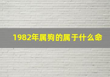 1982年属狗的属于什么命