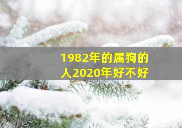 1982年的属狗的人2020年好不好