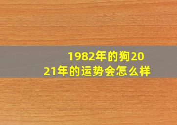 1982年的狗2021年的运势会怎么样