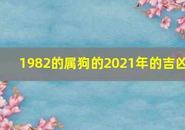 1982的属狗的2021年的吉凶