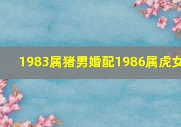 1983属猪男婚配1986属虎女