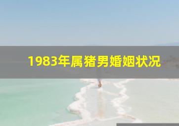 1983年属猪男婚姻状况