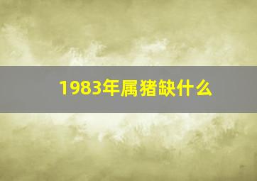 1983年属猪缺什么