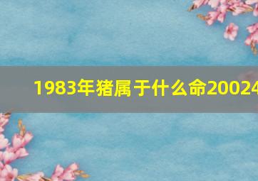 1983年猪属于什么命20024