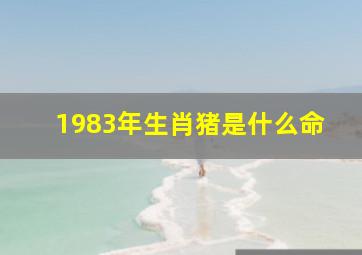 1983年生肖猪是什么命