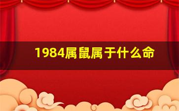 1984属鼠属于什么命