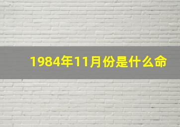 1984年11月份是什么命