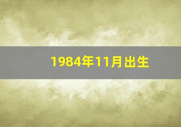 1984年11月出生