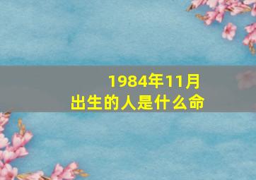 1984年11月出生的人是什么命