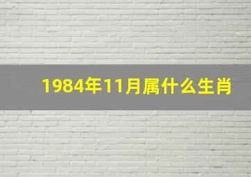 1984年11月属什么生肖