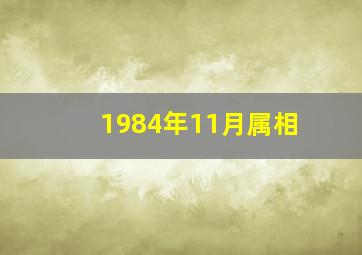 1984年11月属相