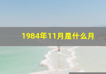 1984年11月是什么月