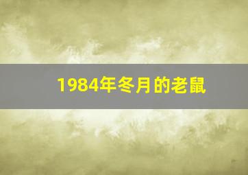 1984年冬月的老鼠