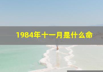 1984年十一月是什么命