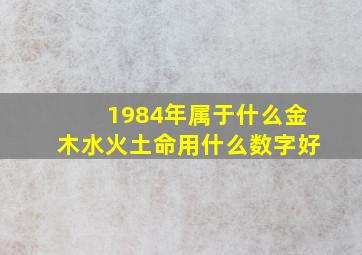 1984年属于什么金木水火土命用什么数字好