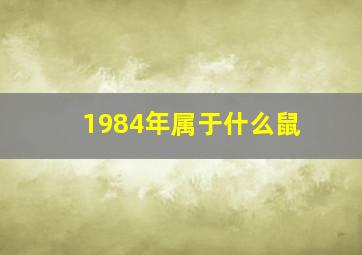 1984年属于什么鼠