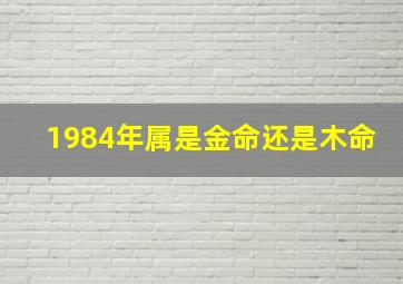 1984年属是金命还是木命