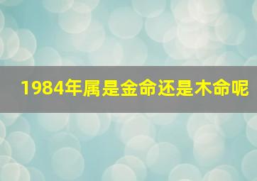 1984年属是金命还是木命呢