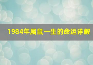 1984年属鼠一生的命运详解