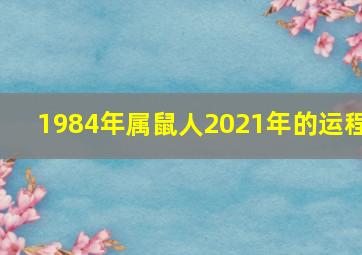 1984年属鼠人2021年的运程