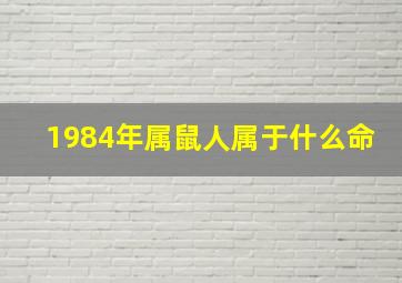 1984年属鼠人属于什么命