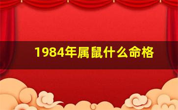 1984年属鼠什么命格