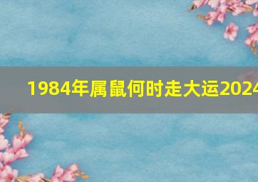 1984年属鼠何时走大运2024