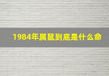 1984年属鼠到底是什么命