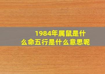 1984年属鼠是什么命五行是什么意思呢