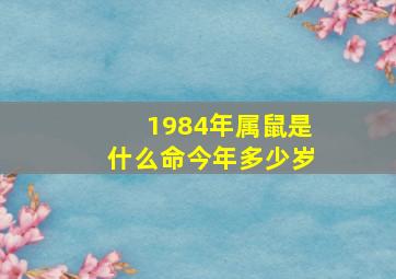 1984年属鼠是什么命今年多少岁