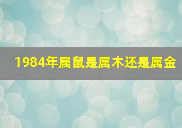 1984年属鼠是属木还是属金