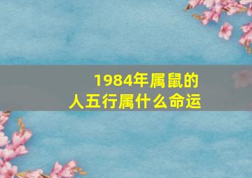 1984年属鼠的人五行属什么命运