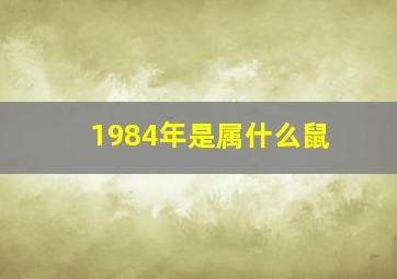 1984年是属什么鼠