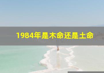 1984年是木命还是土命