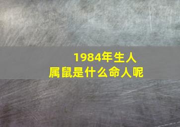 1984年生人属鼠是什么命人呢