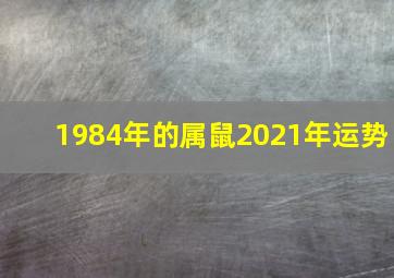 1984年的属鼠2021年运势