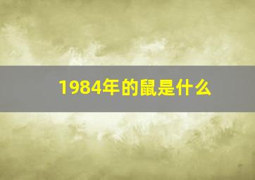 1984年的鼠是什么