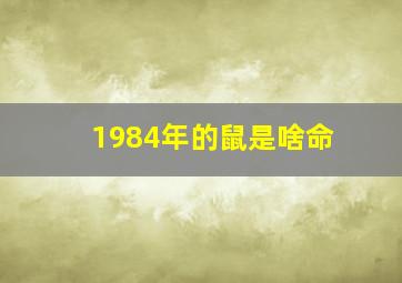 1984年的鼠是啥命