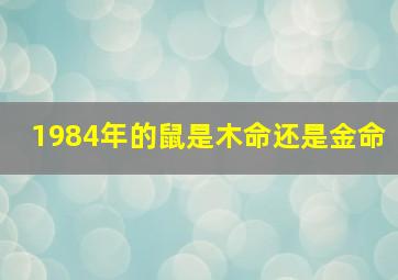 1984年的鼠是木命还是金命